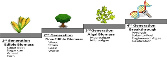  Generation Biofuels