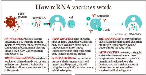 GEMCOVAC-19, India''s first mRNA Covid-19 vaccine, and how it scores over Pfizer, Moderna Apart from being indigenously developed, the vaccine is available in powdered form without the need to be stored at sub-zero temperatures, making it easy to transport to remote areas