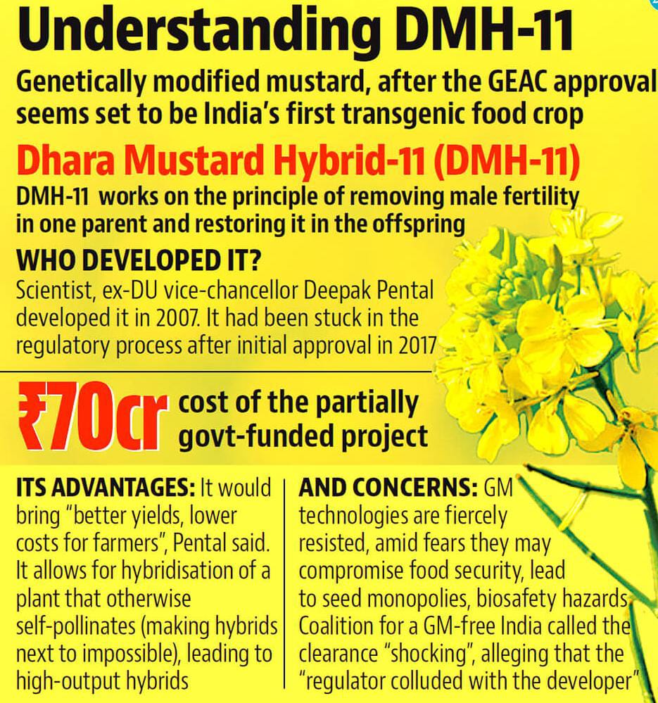 The debate over the use of genetically modified cropsis raging again, with familiar arguments and objections being made. Recently, the government had cleared the ‘environmental release’ of a genetically modified (GM) variety of mustard, DMH-11, developed by the Centre for Genetic Manipulation of Crop Plants (CGMCP) at Delhi University. ‘Environmental release’, involving seed production and field testing, is the final step before the crop can be cultivated by farmers. The government decision was met with expected opposition from activists who oppose any use of GM technology in agriculture. Predictably, the matter has reached the courts. On previous occasions, this has ended with the decision being put on indefinite hold. Previous attempt In fact, DMH-11had reached quite close to being approved for environmental release in 2017 as well, but then had to be stopped under pressure from activists and NGOs. The decision to revisit this issue has come in the wake of steadily rising import bills on edible oils. The availability of mustard, commonly used affordable cooking oil, has emerged, more than ever before, as a food security issue. Increased yields of mustard can reduce the dependence on other countries for a critical food item, as well as save foreign currency worth tens of billions of dollars every year. In fact, the government is treating mustard as a special case among all the GM crops awaiting approval. It has maintained that approving the mustard variety would not mean opening the floodgates for all other transgenic crops. In the case of mustard, there is a compelling economic and food security argument, which puts it in a separate category. There has been no movement, for example, on Bt brinjal, which, like DMH-11, has passed all the safety tests and regulatory processes, but whose release has been on hold since 2010. Activists, however, not just dispute the ability of GM mustard to increase yield, but question biosafety dataand claim that it will harm human and soil health, cause environmental damage, and threaten the existence of other species, like honeybees. These arguments are in line with the opposition to genetically modified crops in general.