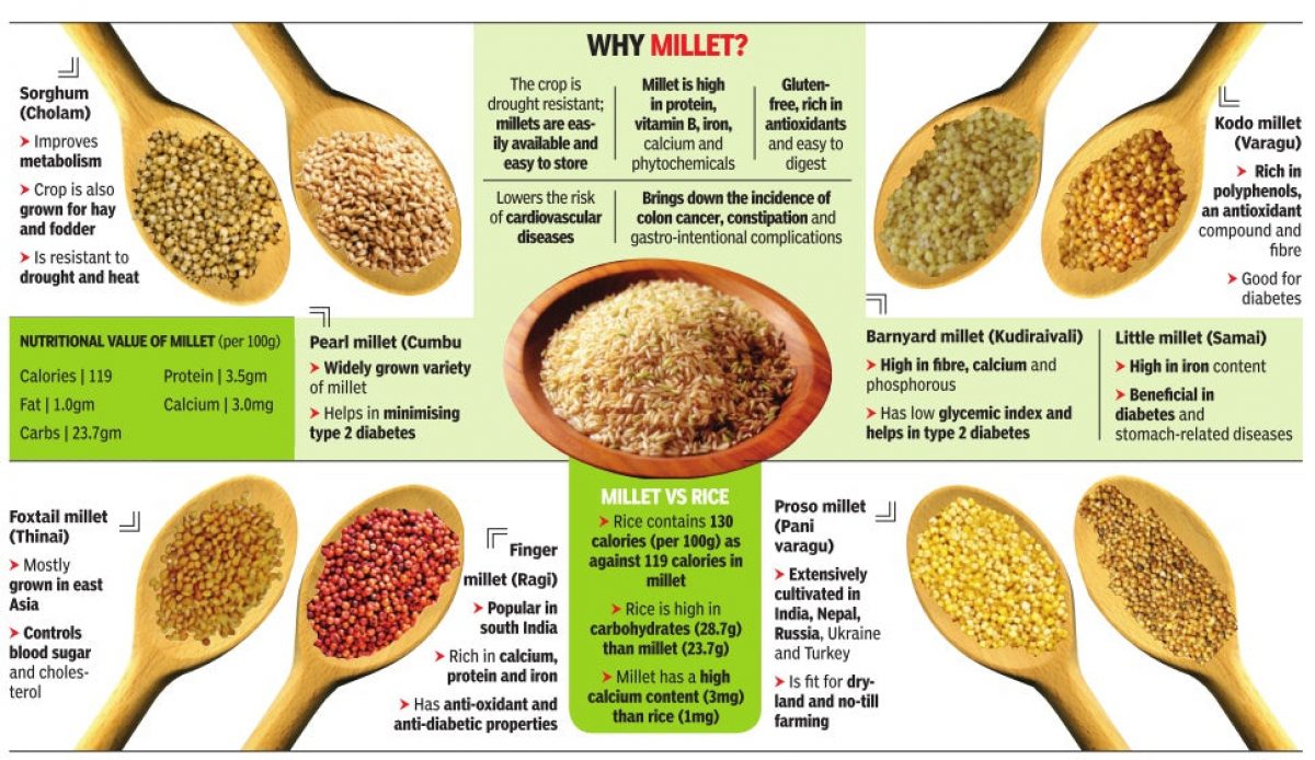 The term millet is used to describe small-grained cereals like sorghum (jowar), pearl millet (bajra), foxtail millet (kangni/ Italian millet), little millet (kutki), kodo millet, finger millet (ragi/ mandua), proso millet (cheena/ common millet), barnyard millet (sawa/ sanwa/ jhangora), and brown top millet (korale).  Millets were among the first crops to be domesticated. There is evidence for consumption of millets in the Indus-Sarasvati civilisation (3,300 to 1300 BCE). Several varieties that are now grown around the world were first cultivated in India. West Africa, China, and Japan are also home to indigenous varieties of the crop.  Millets are now grown in more than 130 countries, and are the traditional food for more than half a billion people in Asia and Africa. Globally, sorghum (jowar) is the biggest millet crop. The major producers of jowar are the United States, China, Australia, India, Argentina, Nigeria, and Sudan. Bajra is another major millet crop; India and some African countries are major producers.  In India, millets are mainly a kharif crop. During 2018-19, three millet crops — bajra (3.67%), jowar (2.13%), and ragi (0.48%) — accounted for about 7 per cent of the gross cropped area in the country, Agriculture Ministry data show.