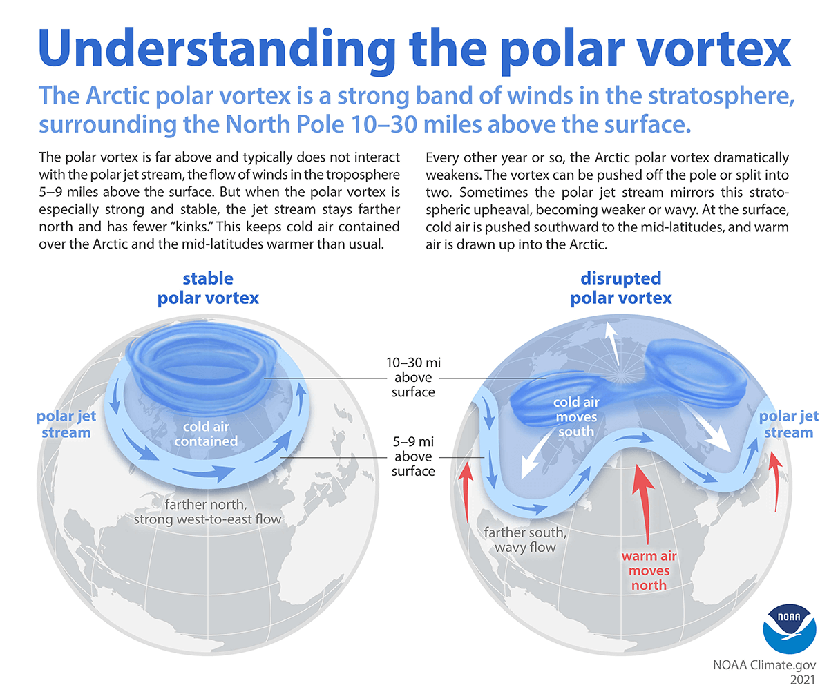 A polar vortex refers to an expanse of cold air that generally circles the Arctic region but occasionally shifts south from the North Pole. It is held in place by the Earth’s rotation and temperature differences between the Arctic and mid-latitudes.
