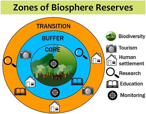 Biosphere reserves are one of the methods of in-situ biodiversity conservation, which are the largest protected area covering more than 5000 sq. km. These cover more land area than the other methods (National parks and wildlife sanctuaries) of the in-situ biodiversity conversation. They are also termed “Biodiversity reserves“.