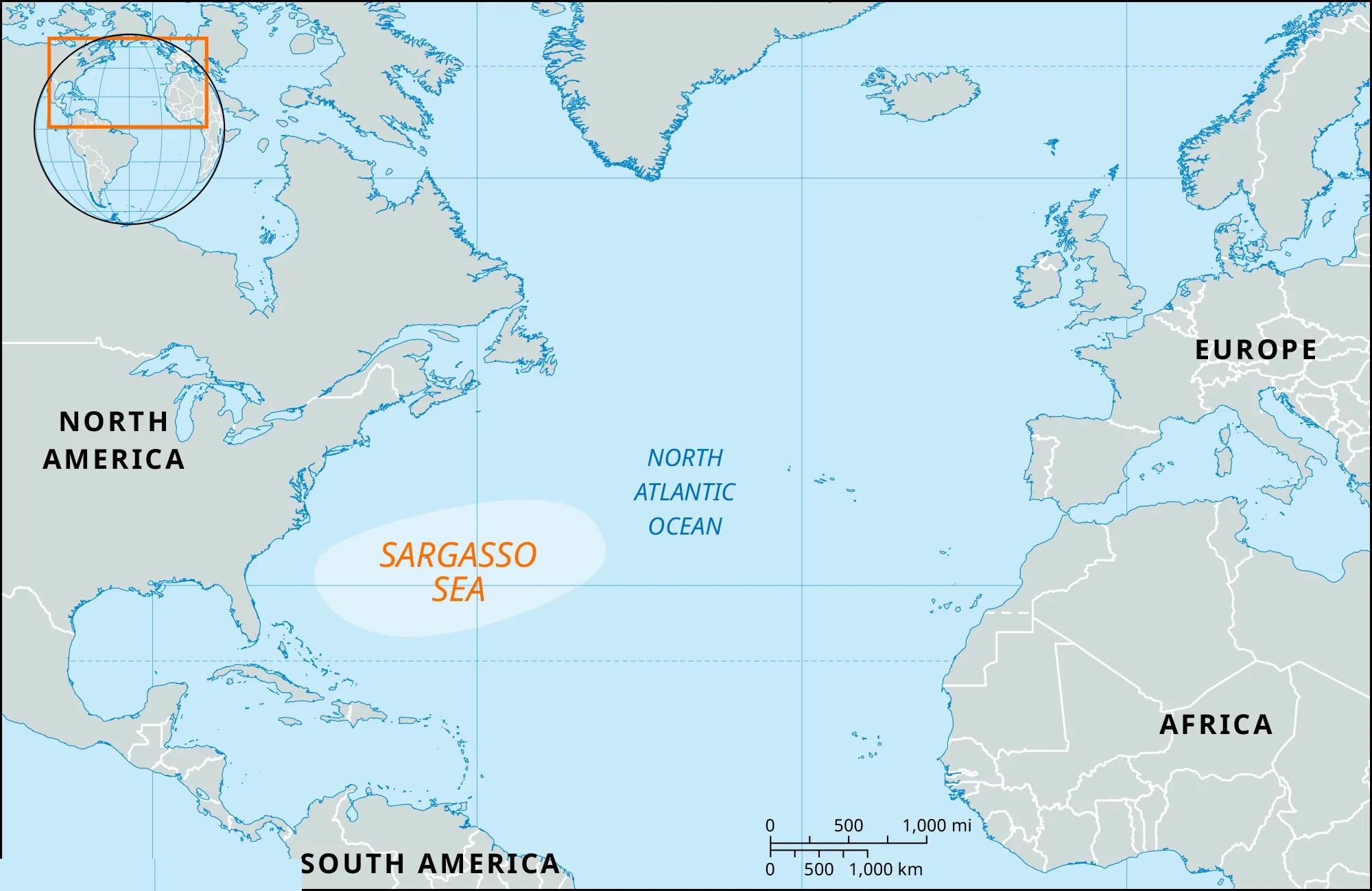 Sargasso Sea