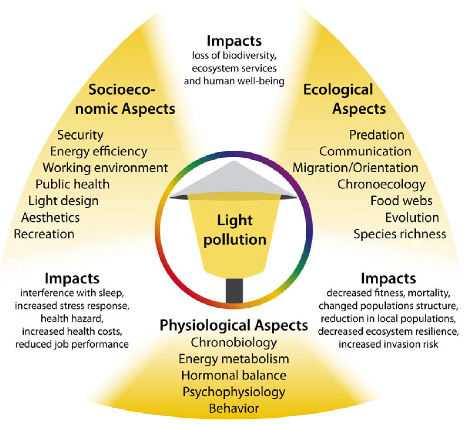 impact of Light Pollution