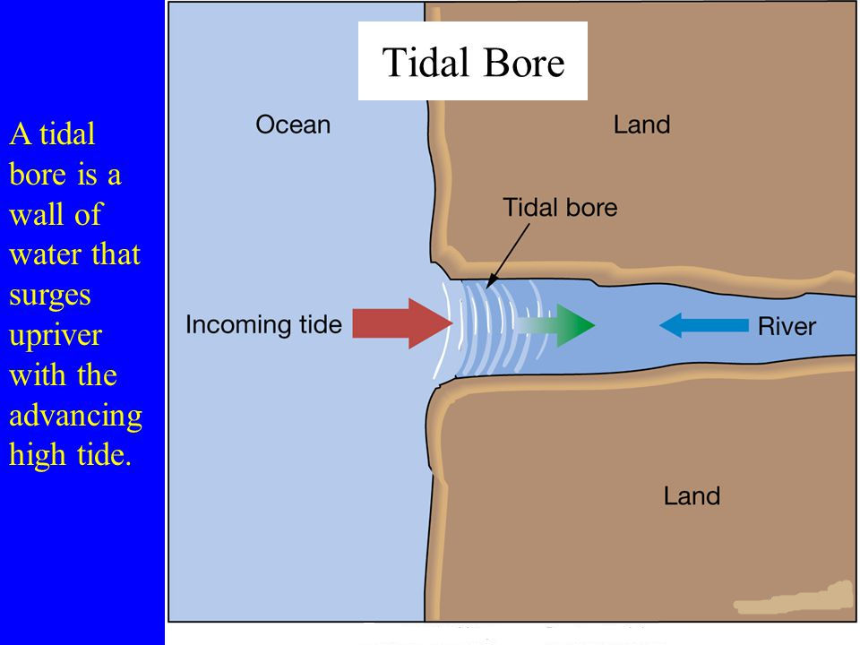 Tidal bores