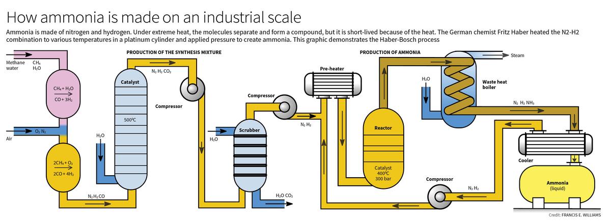 Haber-Bosch-green ammonia