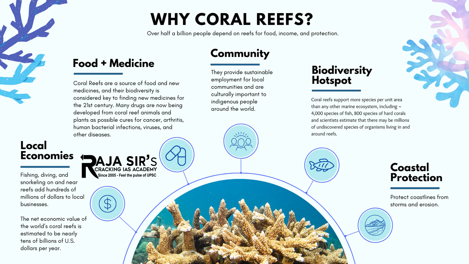 Why  Corals