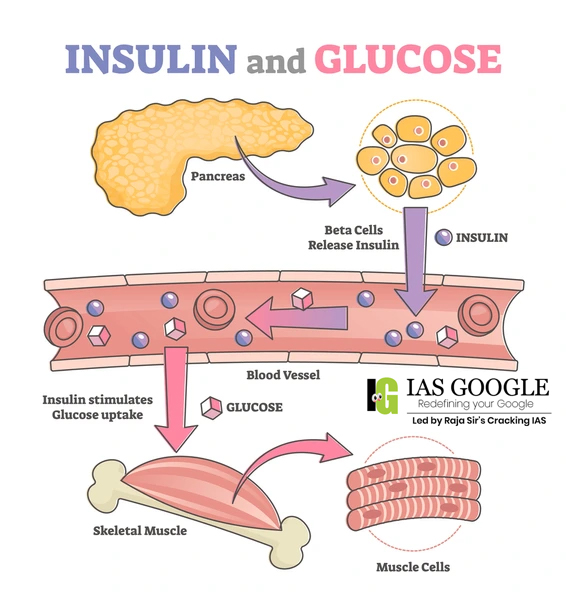 DIABETES INSULIN