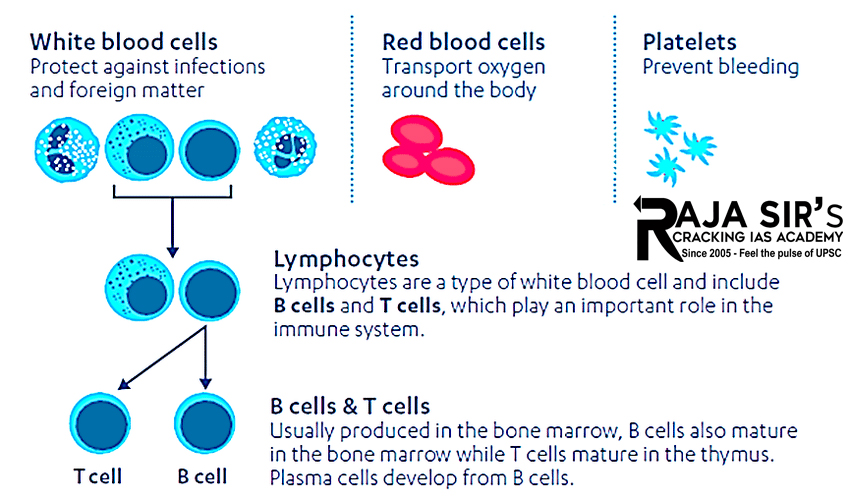 BLOOD COMPOSITION FUNCTIONS