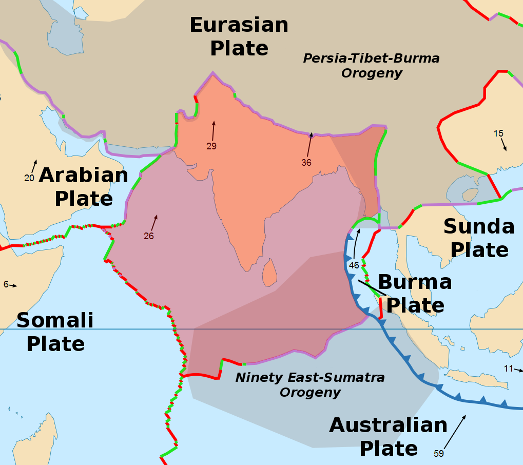 Delamination of the Indian Plate
