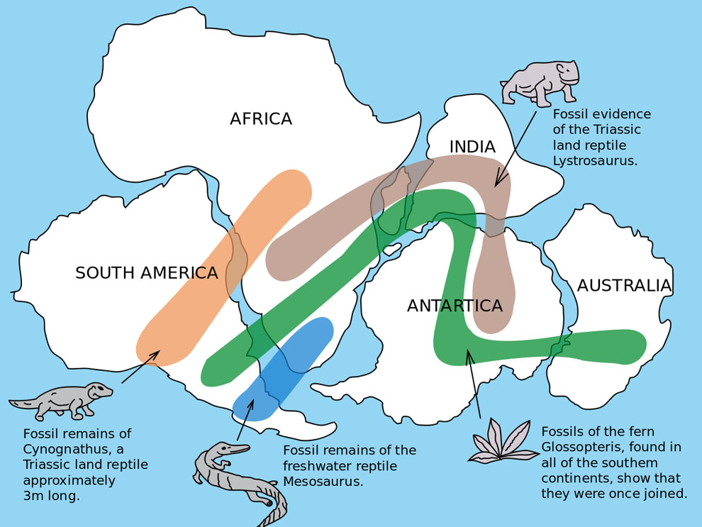 Continental Drift Theory 
