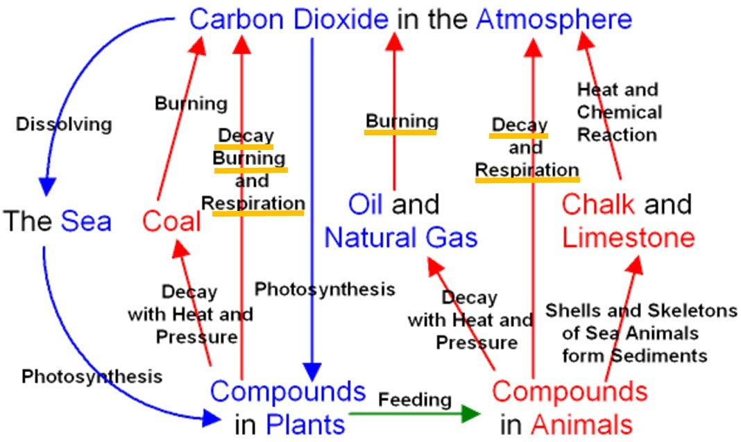 Chalk’s Role in the Carbon Cycle