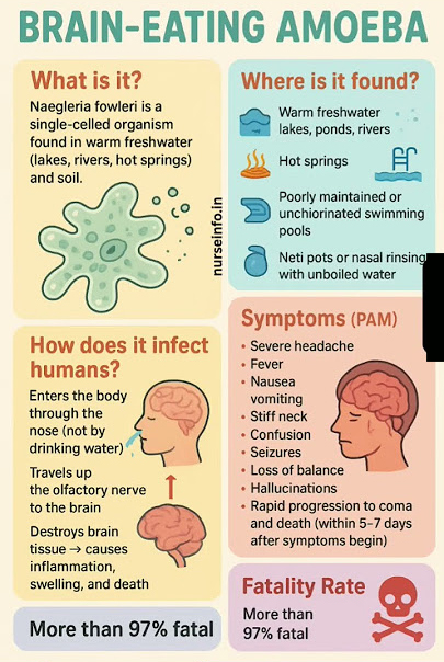 bRAIN EATING AMOEBA