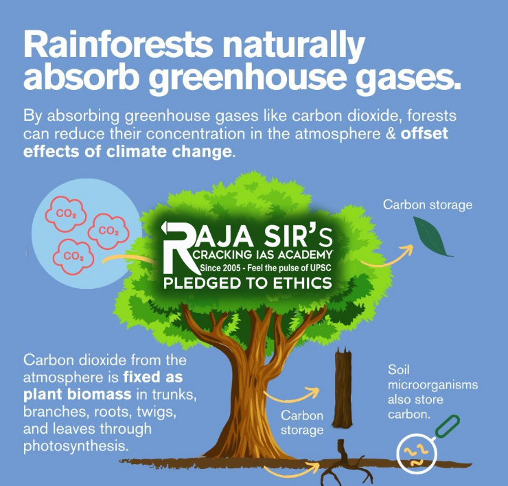 Tropical rain forests