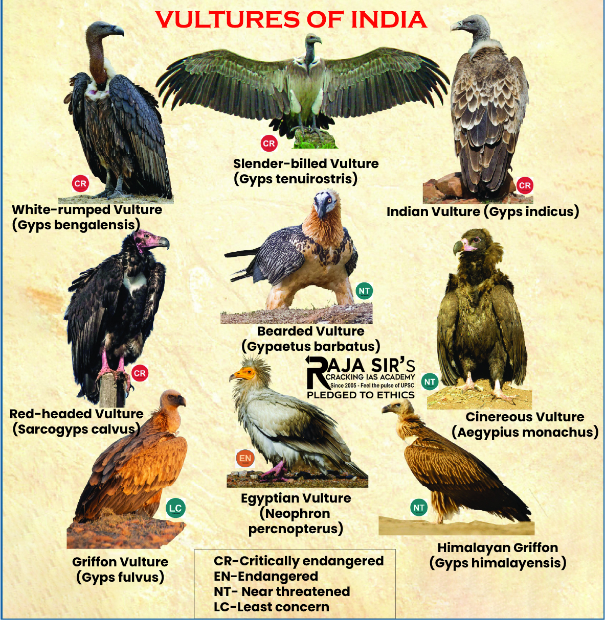 Wildlife Institute of India(WII) releases its 1st Pan-India Assessment and Monitoring of Endangered Species (Vultures)